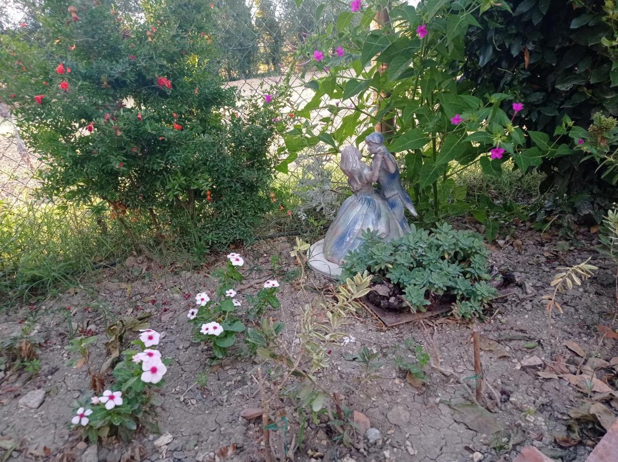La Casa Di Tara B&B Armonia E Natura Recanati Exterior foto