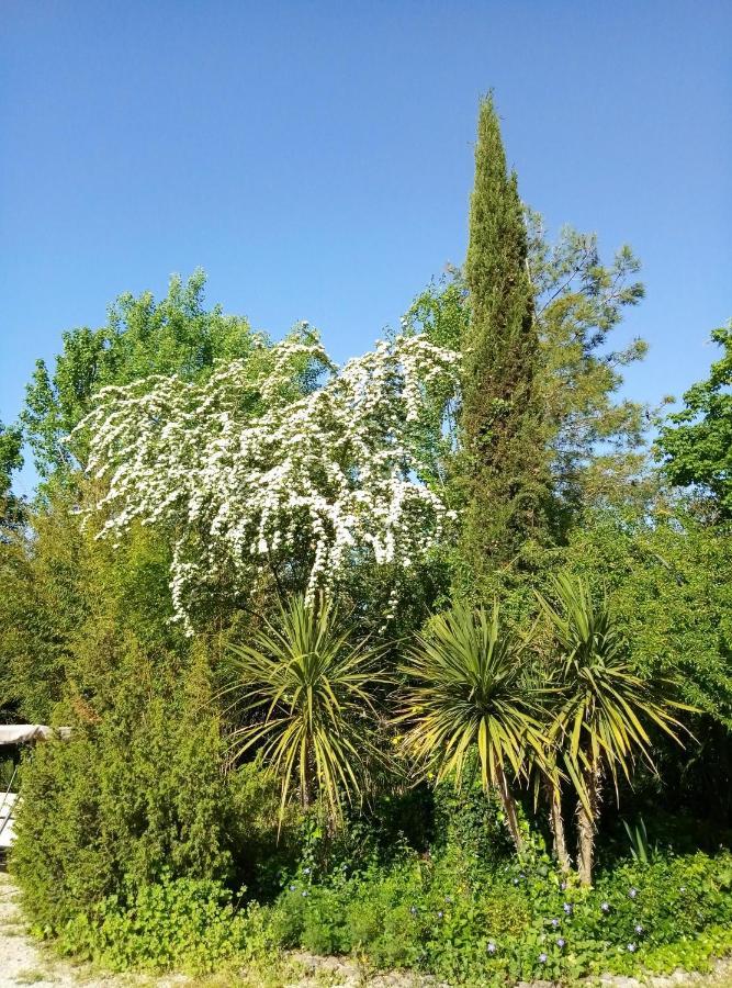 La Casa Di Tara B&B Armonia E Natura Recanati Exterior foto